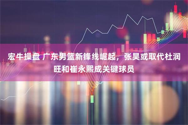 宏牛操盘 广东男篮新锋线崛起，张昊或取代杜润旺和崔永熙成关键球员