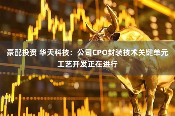 豪配投资 华天科技：公司CPO封装技术关键单元工艺开发正在进行
