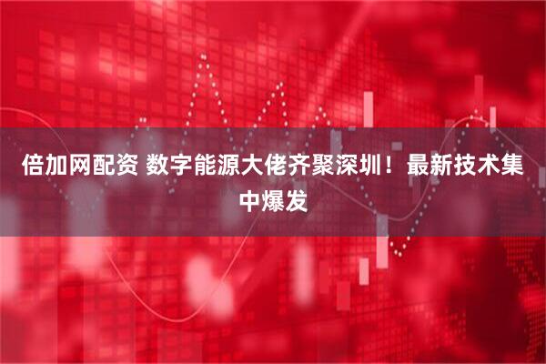 倍加网配资 数字能源大佬齐聚深圳！最新技术集中爆发