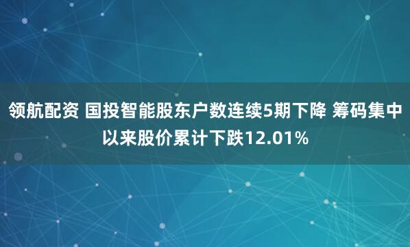 领航配资 国投智能股东户数连续5期下降 筹码集中以来股价累计下跌12.01%