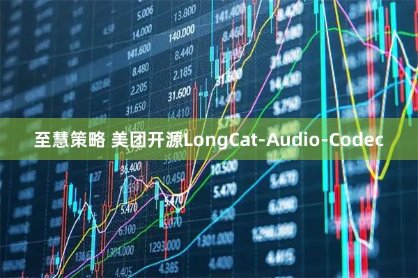 至慧策略 美团开源LongCat-Audio-Codec