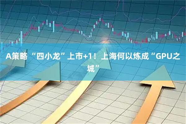 A策略 “四小龙”上市+1！上海何以炼成“GPU之城”