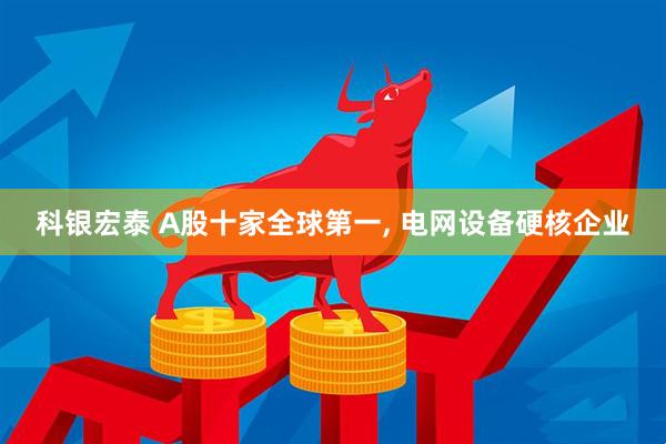 科银宏泰 A股十家全球第一, 电网设备硬核企业